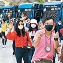 쇼핑코리아 이미지