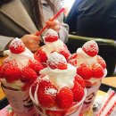 요거프레소한세대점