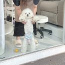 (주)브로플래닝 | 봉선동 차오름, 르클레르 관리받고 카페달링 계림직영점 등 먹부림