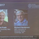 노벨전자 이미지