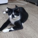 한마음종합동물병원 이미지