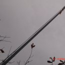 오산1리 이미지