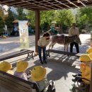 하늘꿈어린이집 놀이터 이미지