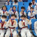 경희대 대성 태권도장 이미지