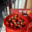 한일지물포 이미지