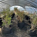 자연다움 이미지