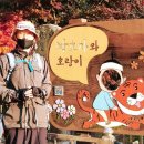 효자동 박태성정려비및묘 이미지