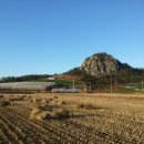 다래한우농장 이미지