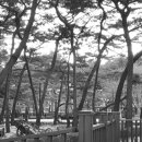 솔밭공원3 이미지