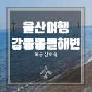 강동몽돌해변 | [울산] 산하동 '강동몽돌해변' :: 산책하기 좋은 탁 트인 울산바닷가, 울산해수욕장.