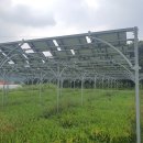 햇빛농장2 이미지