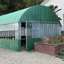 안계미나리농장 이미지