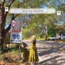 쌍계1교 | 경남 하동 화개천 계곡 펜션 추천 도래도래펜션