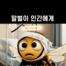 간추린 뉴스 이미지
