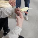 두꺼비농장 | [의령 청아생태공원 ] 3월 농장체험, 4살 아이와 동물·올챙이·집라인까지 즐긴 날