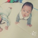 지후 이미지