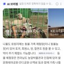 세진농장 이미지