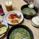 용치 | 통영 우도 당일치기 스노클링 🏖️✨범돔, 아기복어, 용치놀래기 본 후기/아침식사/꿀팁🐠