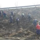 국도22호선가로수 이미지