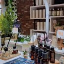 아로마포레스트 이미지