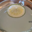 밀로브레드 이미지