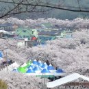 물태리 다목적회관 이미지