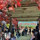 낙산초등학교 이미지