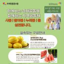 동동협동조합