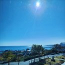 호미곶면 호미곶 작은도서관 | 포항 여행코스 추천｜아이들과 함께 다녀온 구룡포·호미곶·포항국립등대박물관 완벽 루트