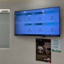 김수의과동물병원 | 하남 다정한동물병원 건강검진 피지낭종 제거 스케일링 내돈내산 후기