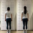 바디모어핏 이미지