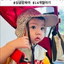 우리마트 이미지
