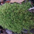 남명초교 이미지