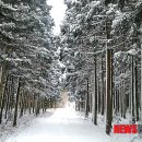 한화리조트제주 이미지