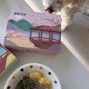 강릉옥천중앙슈퍼 | 말랑곳간 '강릉 쑥&카스테라 인절미' 택배후기 ˚‧｡🧆 | 강릉 중앙시장 맛집 떡을 집에서!