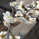 애련농장 이미지