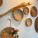 하늘보리밥 이미지