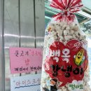 단양힐링미션민박 | 단양 2일차