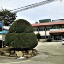 신덕면사무소 이미지