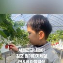 땡큐팜