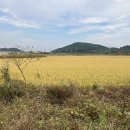 장항1리마을회관 이미지
