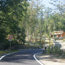 숲속의야영장 이미지