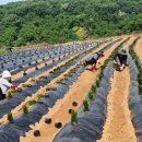 유계리 농장 이미지