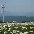 거창-거창-4 이미지