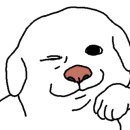 튼튼메디컬약국 이미지