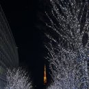 로샤스토리 | TOKYO