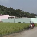 계룡종합카 | 지존파 사건 (1993년 실화) — 평범한 시골집 주차장 바닥을 열면 지하로 내려가는 계단이 있었습니다