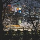 경북대 서문교차로 이미지