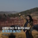 주식회사 강화모노레일 | 교동 강화도 여행 가볼만한곳 화개정원 모노레일전망대