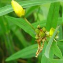 부성모터스 이미지